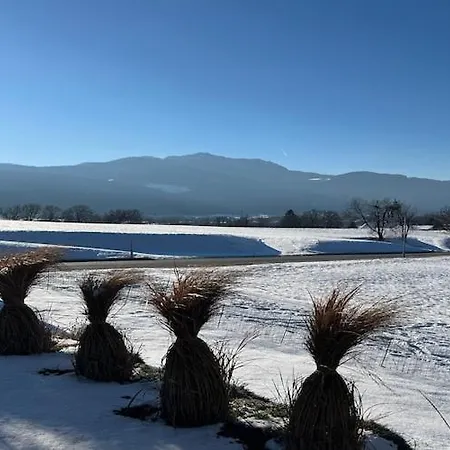 Cozy With Mountain Views Hébergement de vacances *