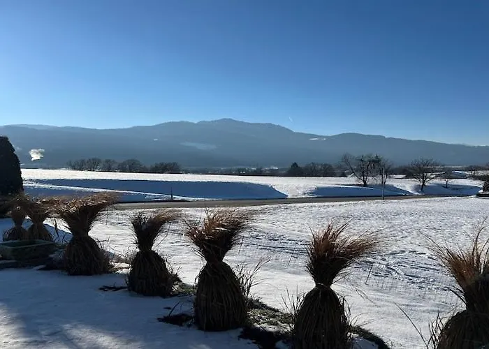 Cozy With Mountain Views Semesterbostad *